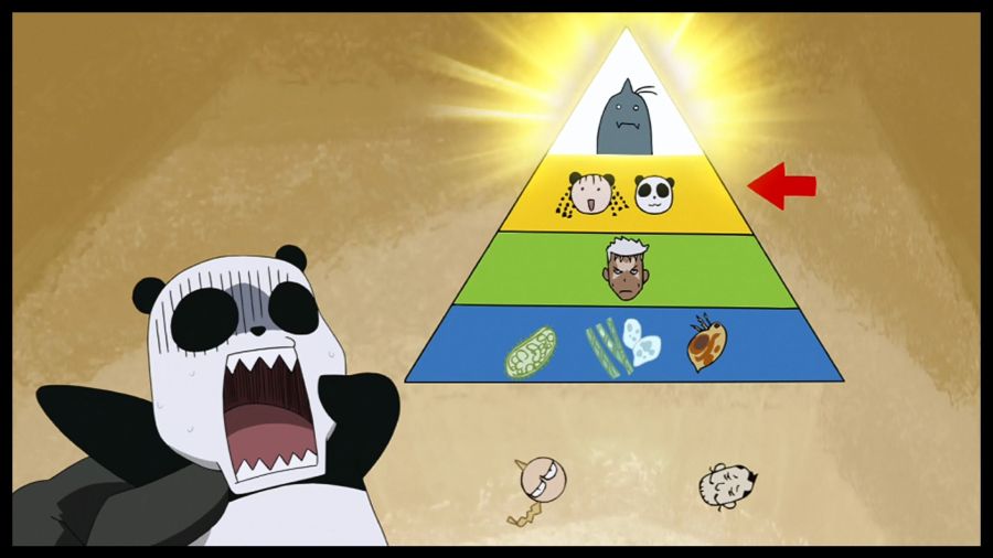 pyramide-alimentaire-alphonce.jpg